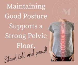 NewEra Protect Primera